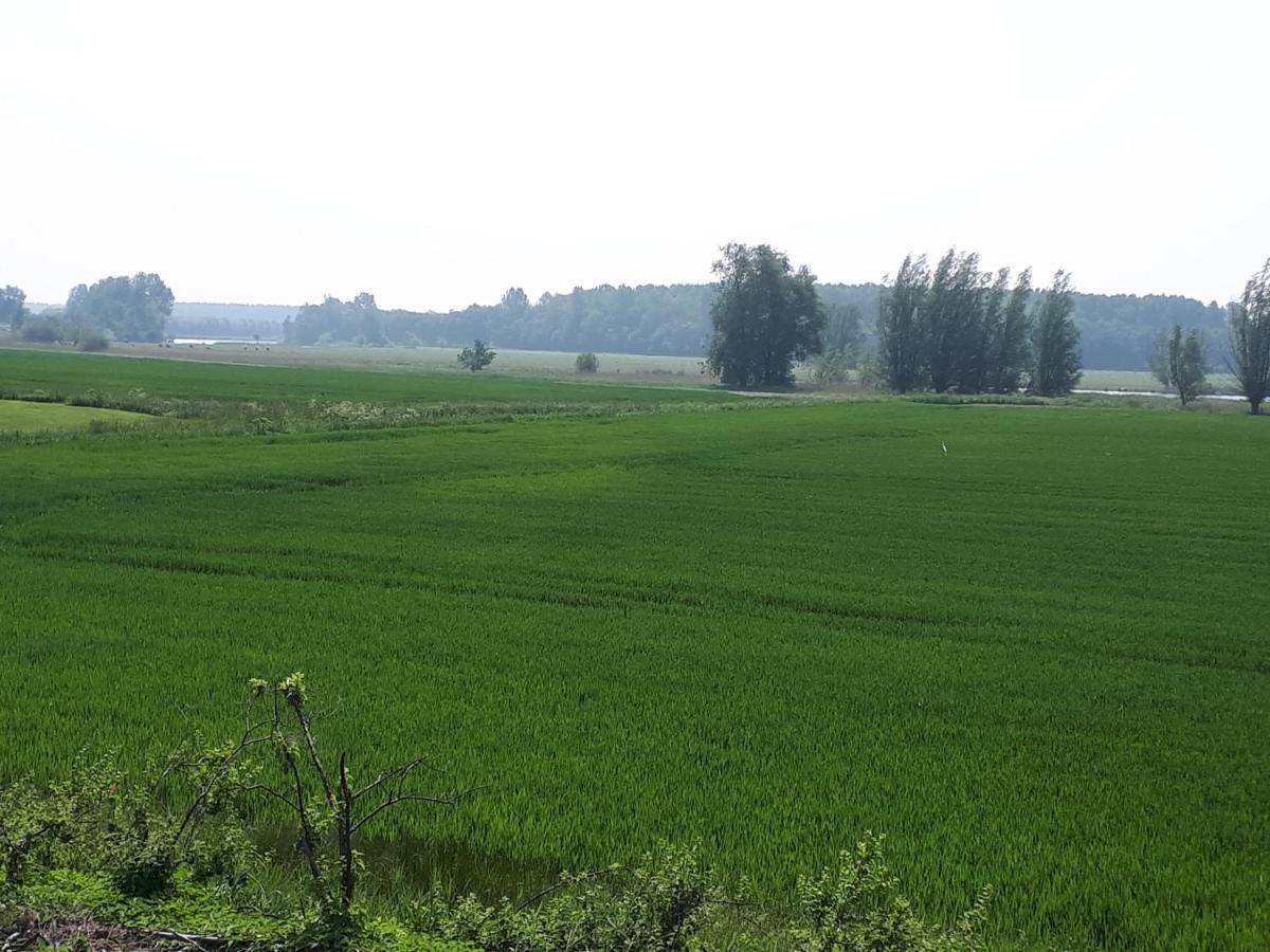 Klein Cambron * Hulst